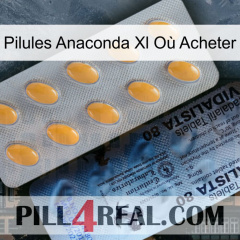 Pilules Anaconda Xl Où Acheter 44